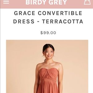 Large BirdyGrey Grace Convertible Bridesmaid Dress